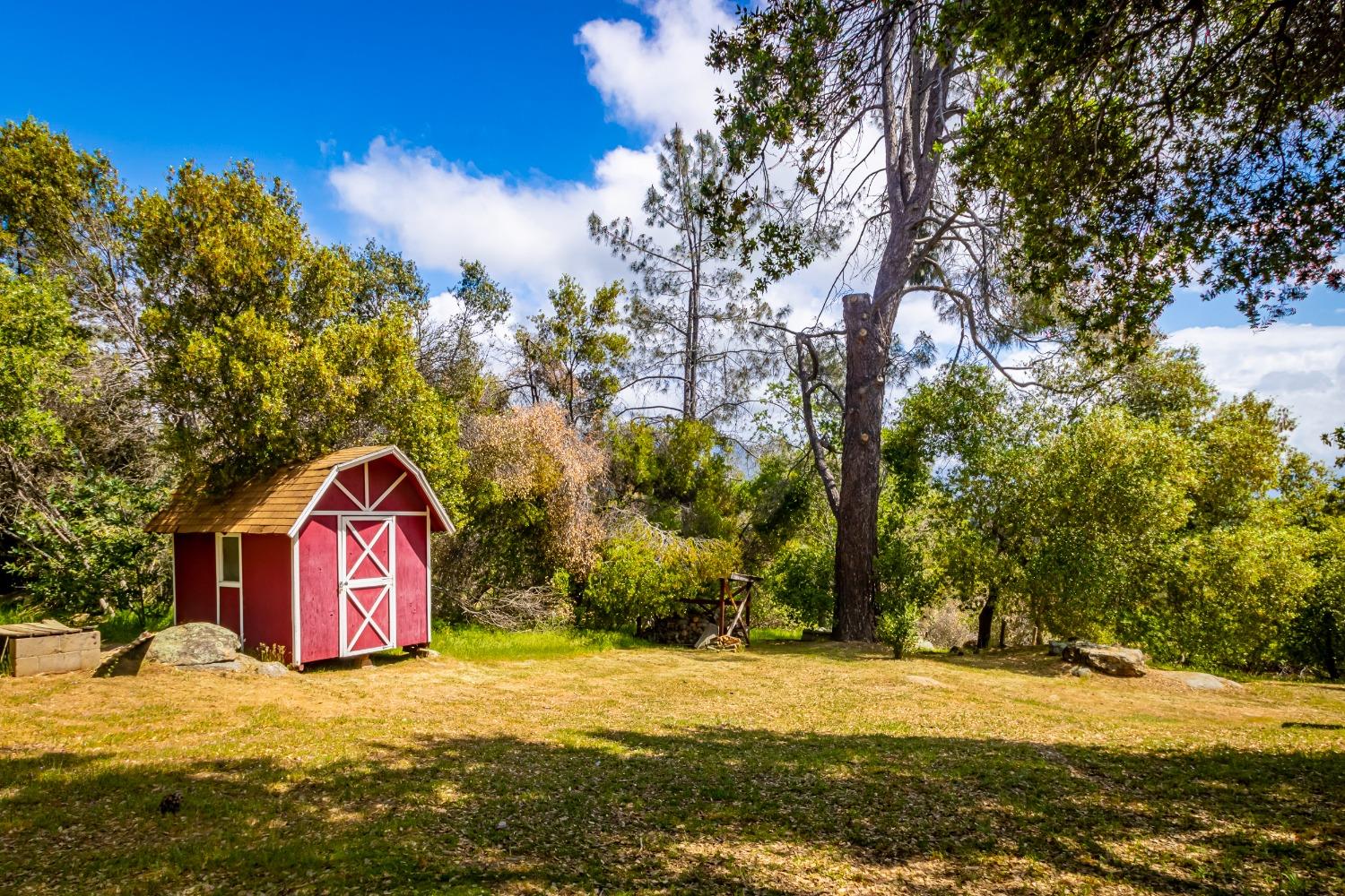 5090 Tiptop Road Mariposa, CA 95338 - Photo 29 of 46 a view of a yard with large trees
