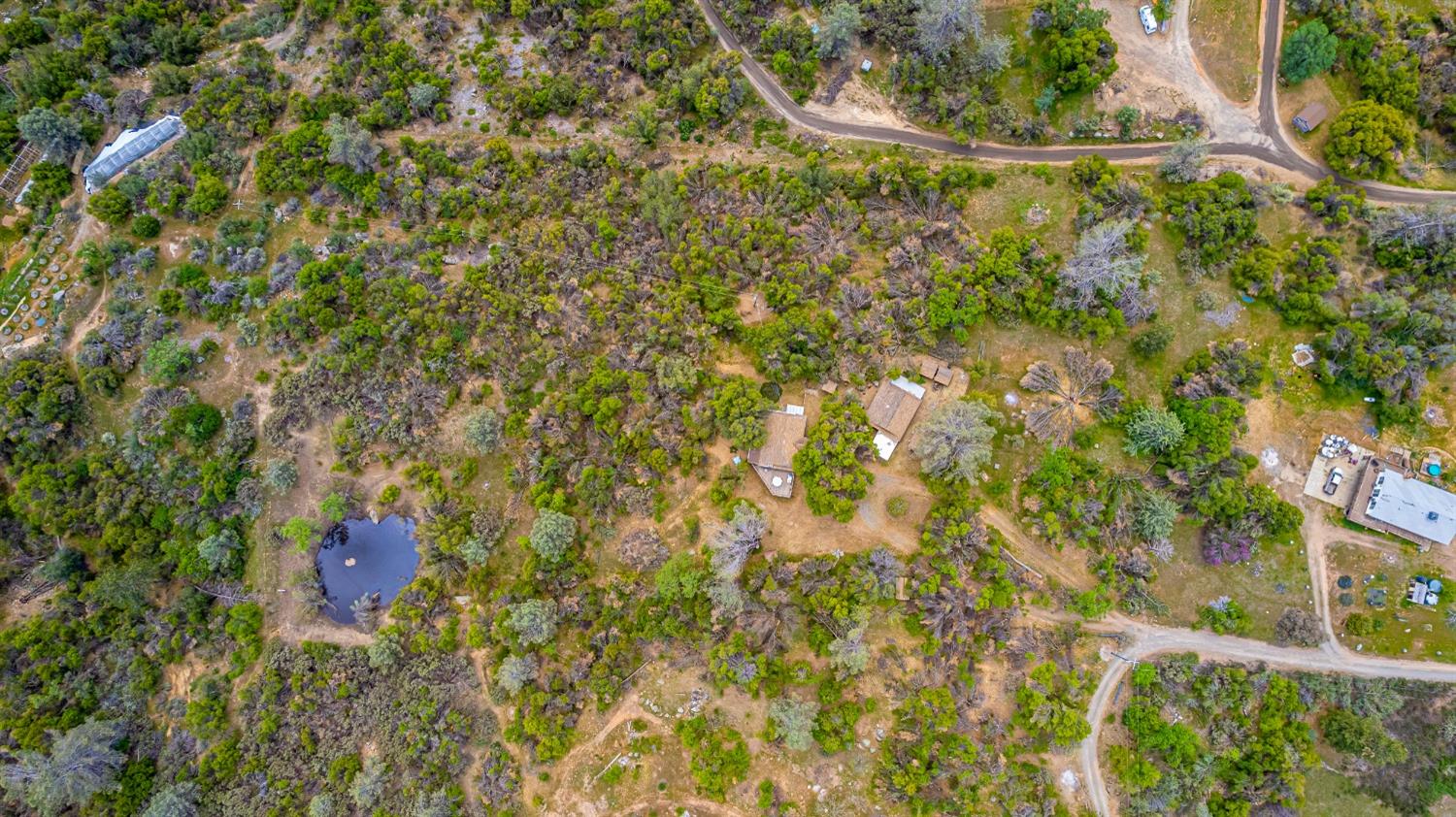 5090 Tiptop Road Mariposa, CA 95338 - Photo 3 of 46 a bird view of a tree with a house in background