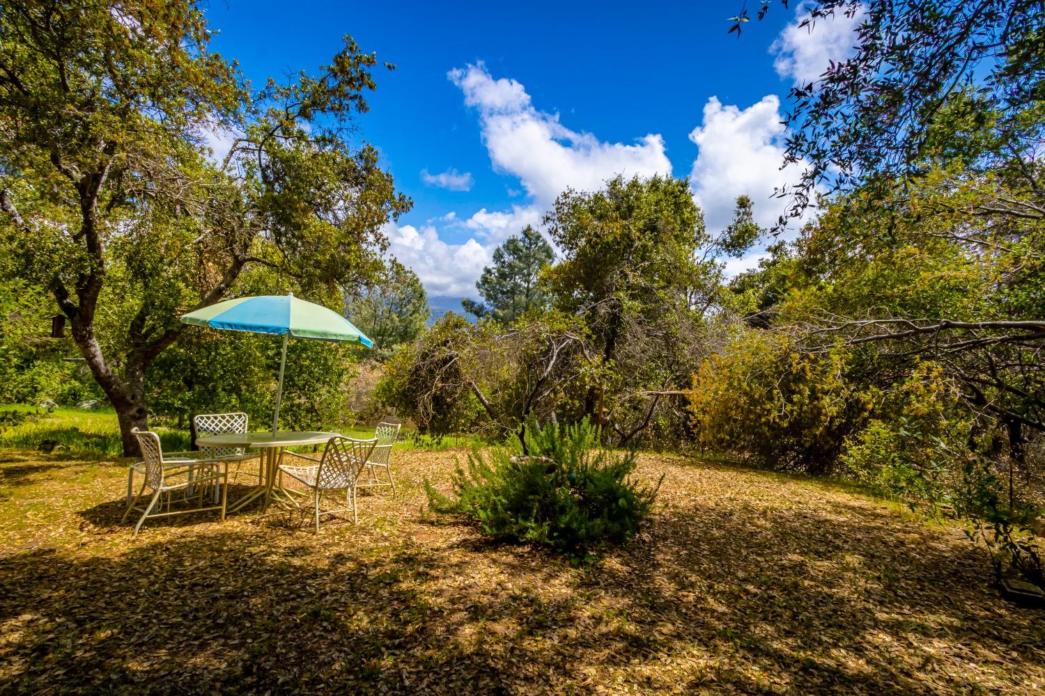 5090 Tiptop Road Mariposa, CA 95338 - Photo 4 of 46 a backyard of a house with table and chairs