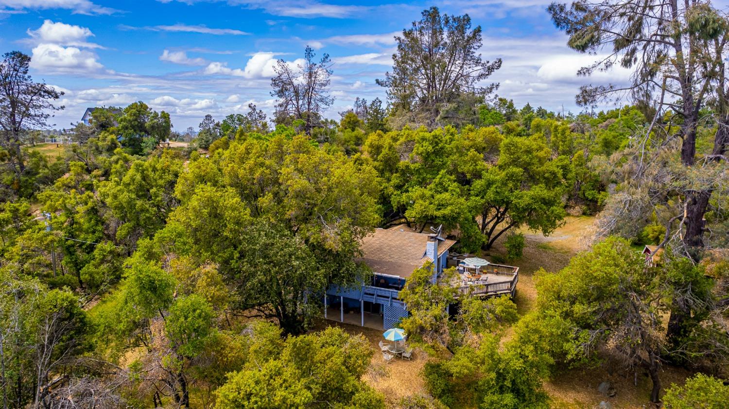 5090 Tiptop Road Mariposa, CA 95338 - Photo 44 of 46 a garden view