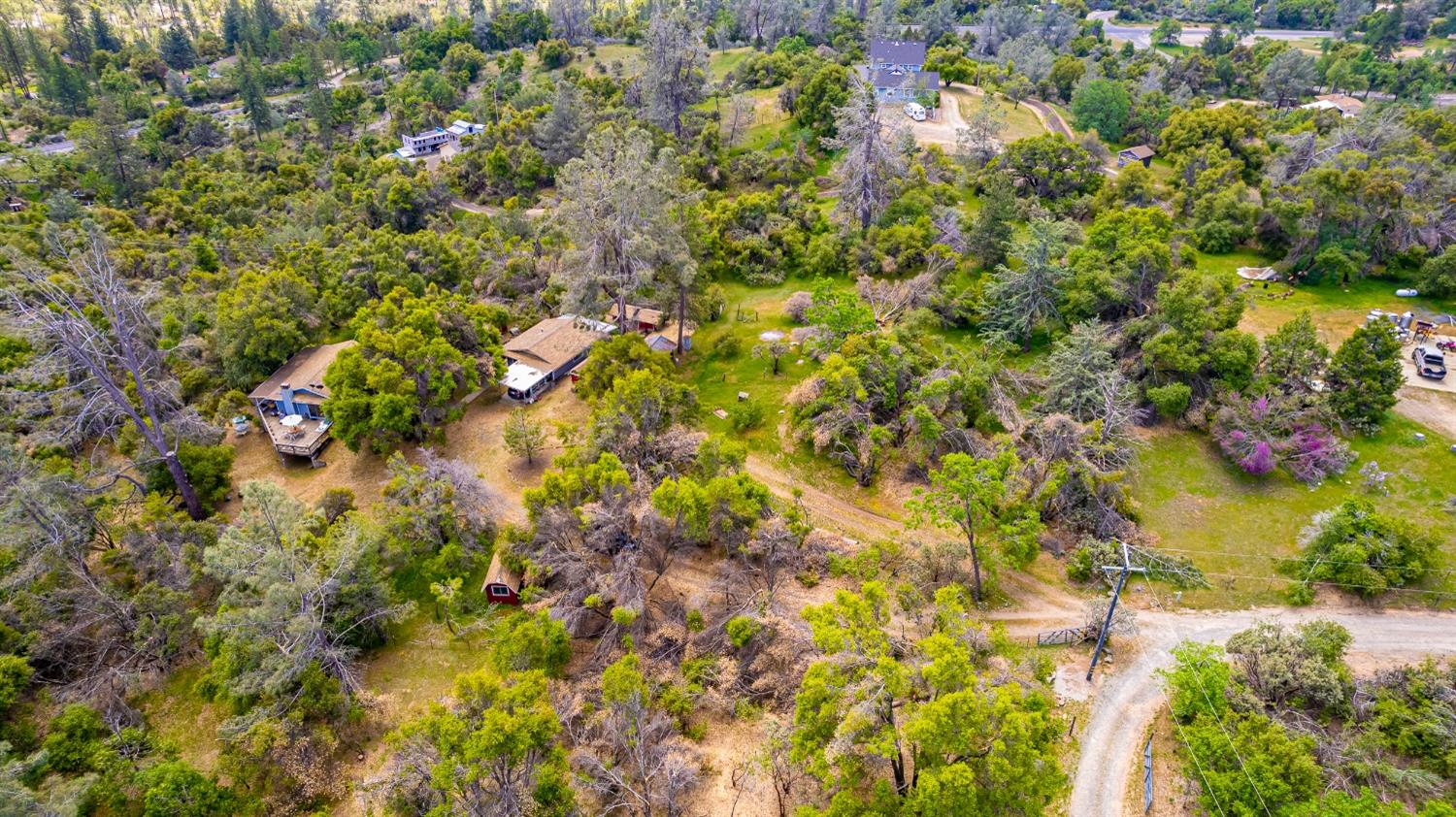 5090 Tiptop Road Mariposa, CA 95338 - Photo 46 of 46 a view of a tree
