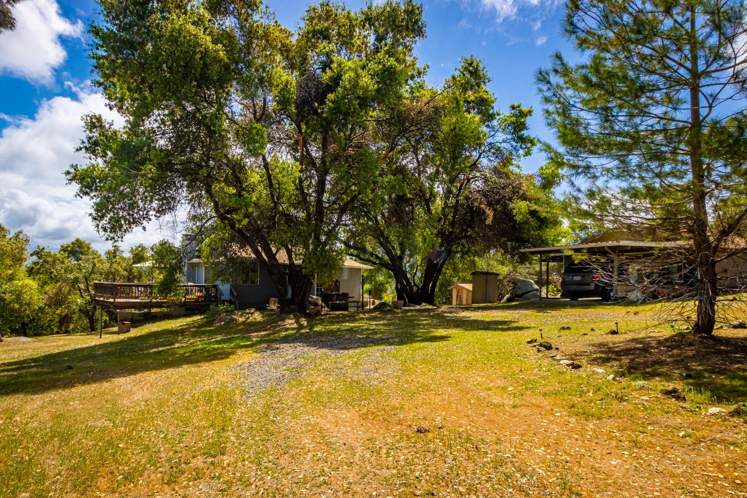 5090 Tiptop Road Mariposa, CA 95338 - Photo 5 of 46 a view of yard with swimming pool and trees