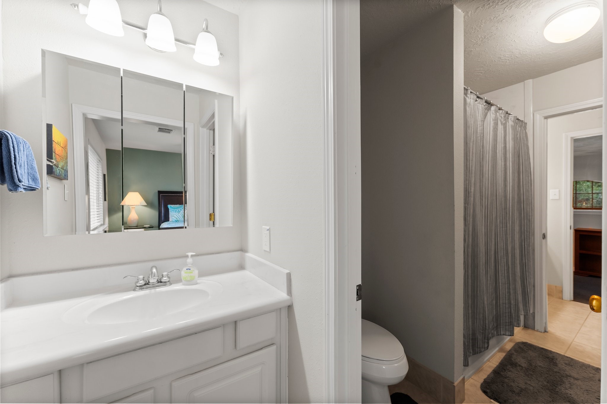 4210 Rainfall Drive Pasadena, TX 77505 - Photo 18 of 46 a bathroom with a sink a toilet and a mirror