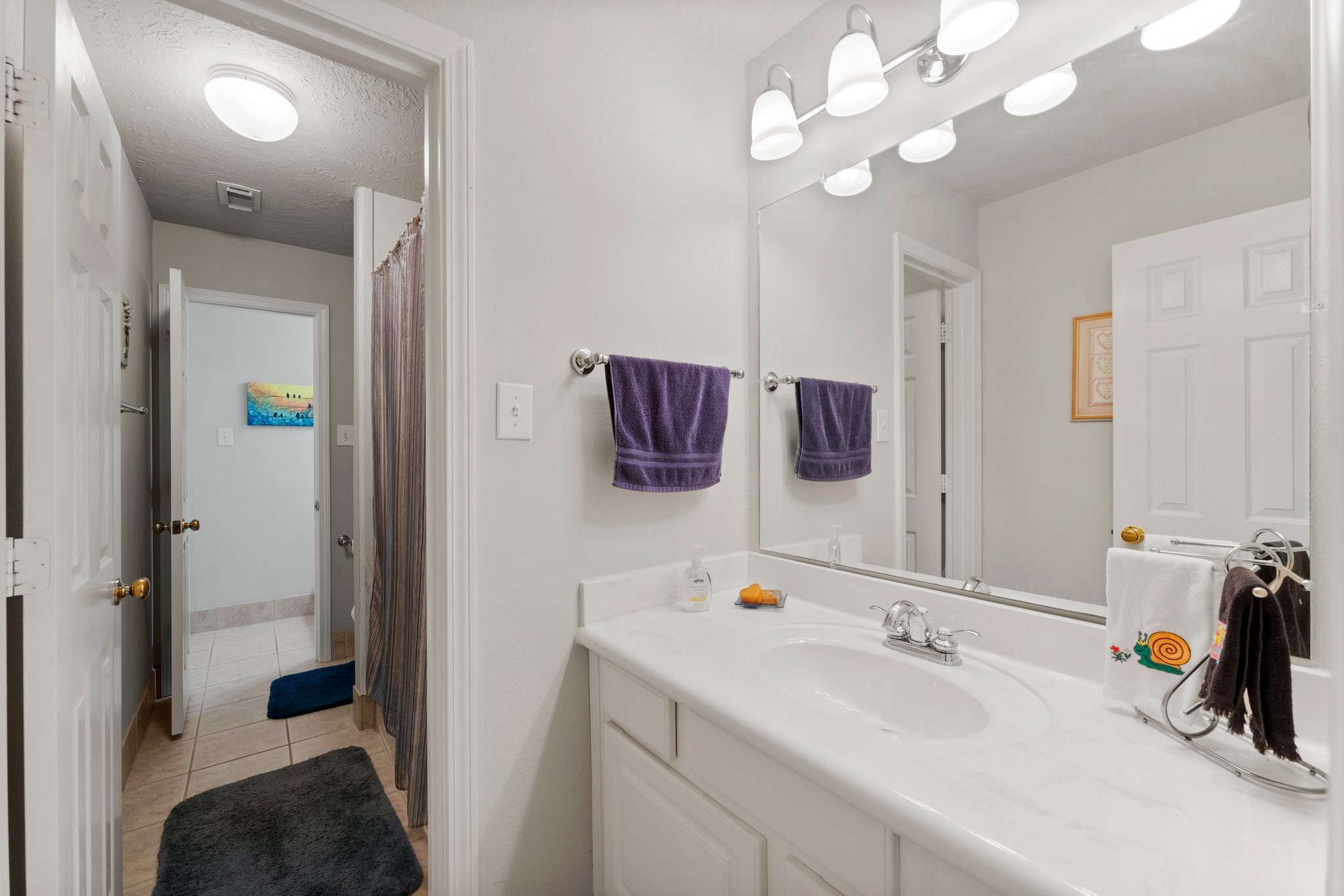 4210 Rainfall Drive Pasadena, TX 77505 - Photo 35 of 46 a bathroom with a sink a mirror and vanity