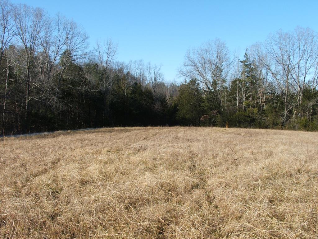 632 Schultz Mill Rd Green Meherrin, VA 23954 - Photo 1 of 17 Gallery Image 1