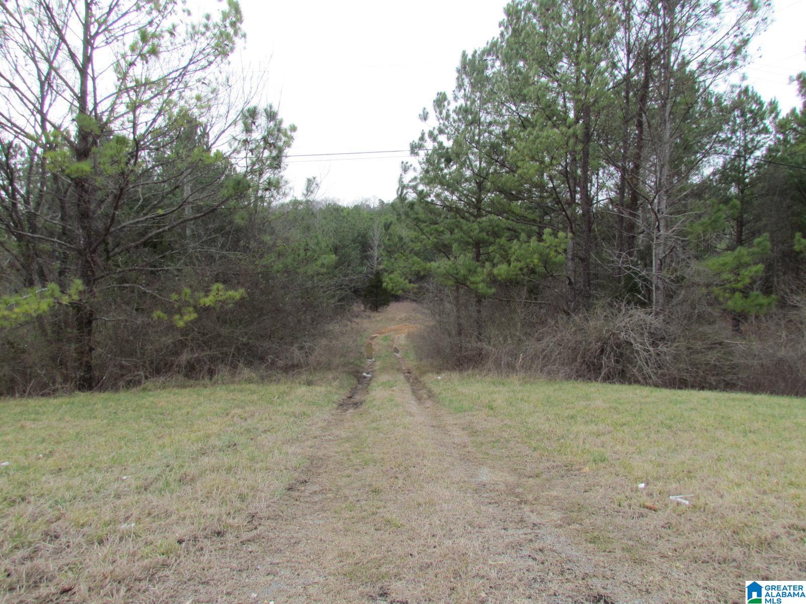 0 Highway 75 Oneonta, AL 35121 - Photo 5 of 6