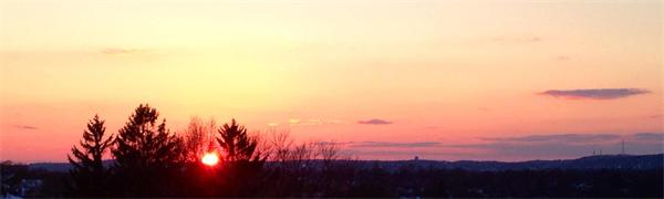 125 Trapelo Road, Unit 35 Belmont, MA 02478 - Photo 5 of 9 Gallery Image 5