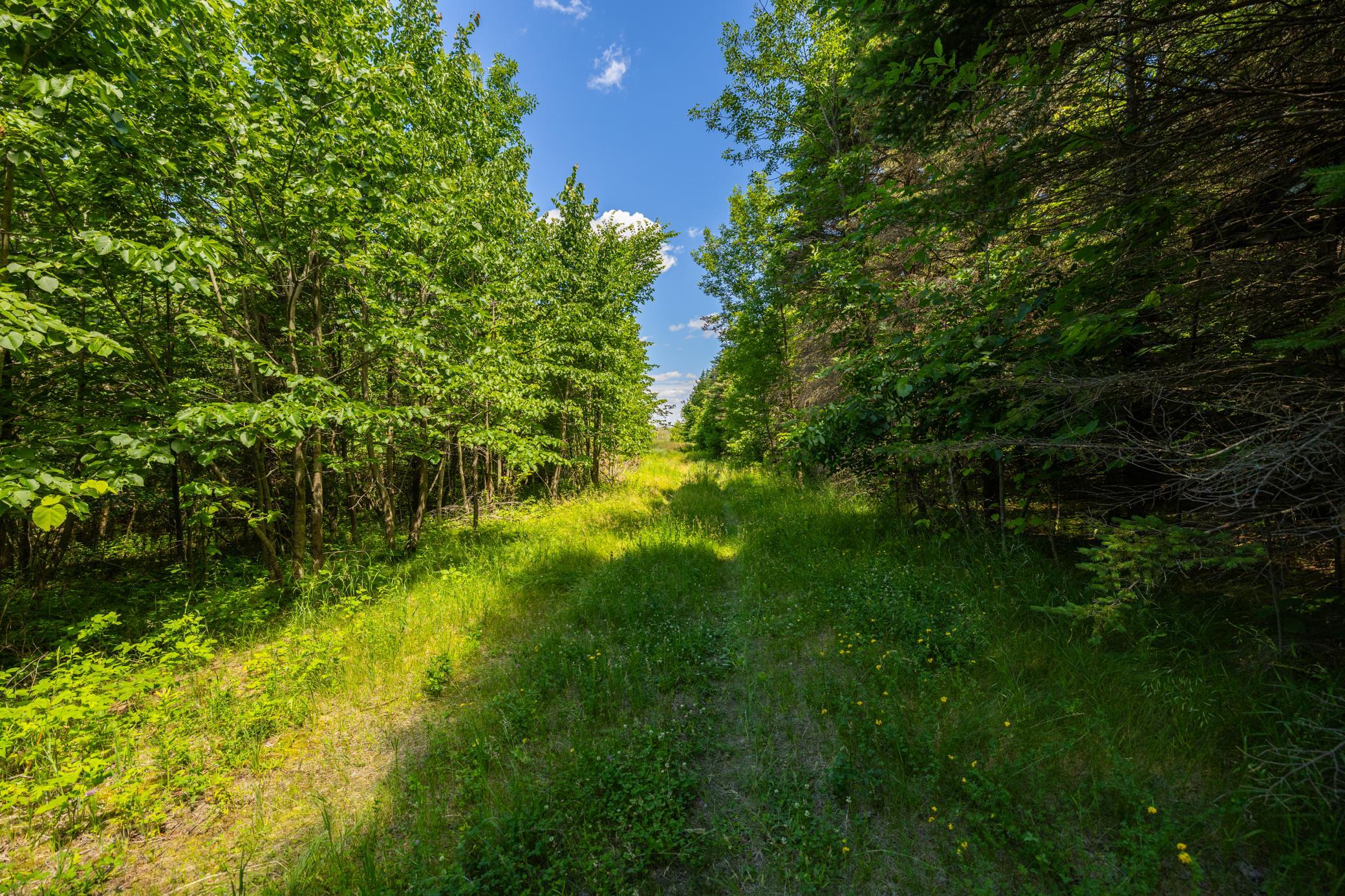 Tbd Base Line Road Northfield, MN 55057 - Photo 2 of 51