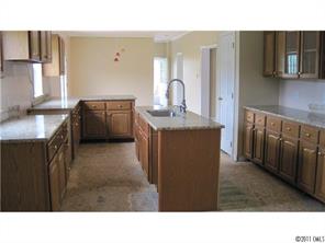 2060 Brer Rabbit Run Rock Hill, SC 29730 - Photo 3 of 16 a open kitchen with sink and cabinets