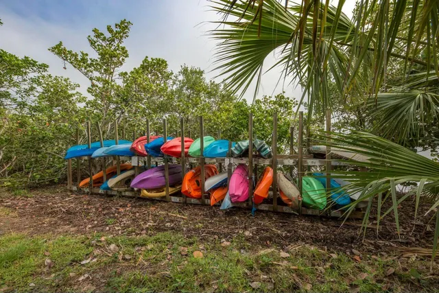 a view of swings on a tree