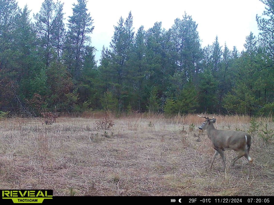 E20244 Cty Road Augusta, WI 54722 - Photo 18 of 27