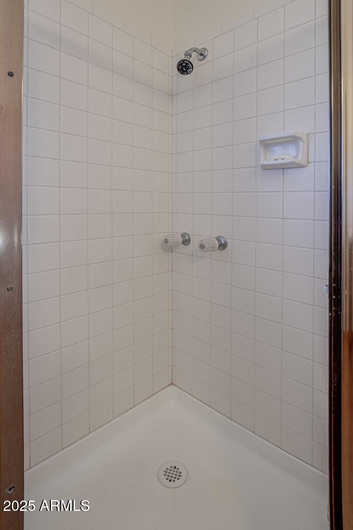 6181 Sharyn Road Pine, AZ 85544 - Photo 23 of 46 a bathroom with a shower