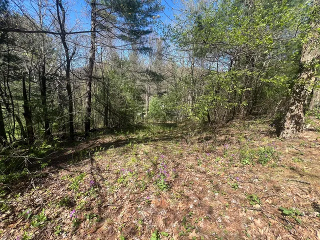 $25,000 | 0 Ivy Ridge Road, Bent Mountain, VA 24059