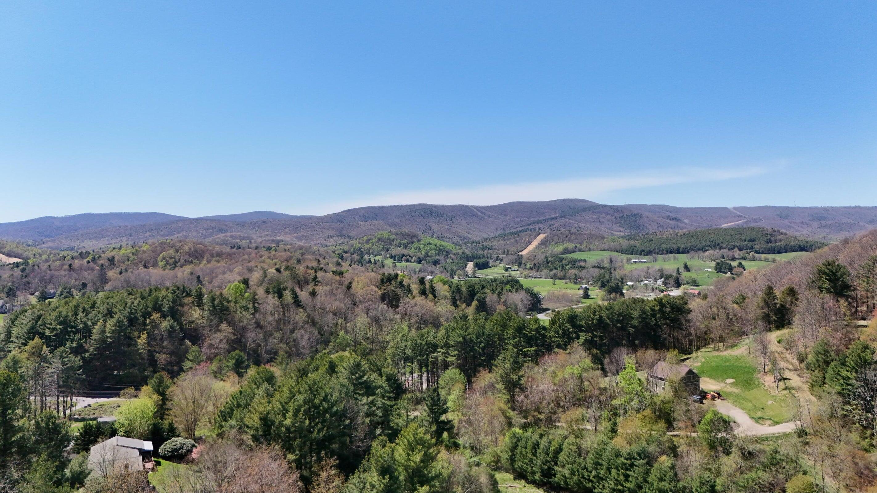 0 Ivy Ridge Road Bent Mountain, VA 24059 - Photo 3 of 11 a view of a lush green outdoor space with a mountain in the background