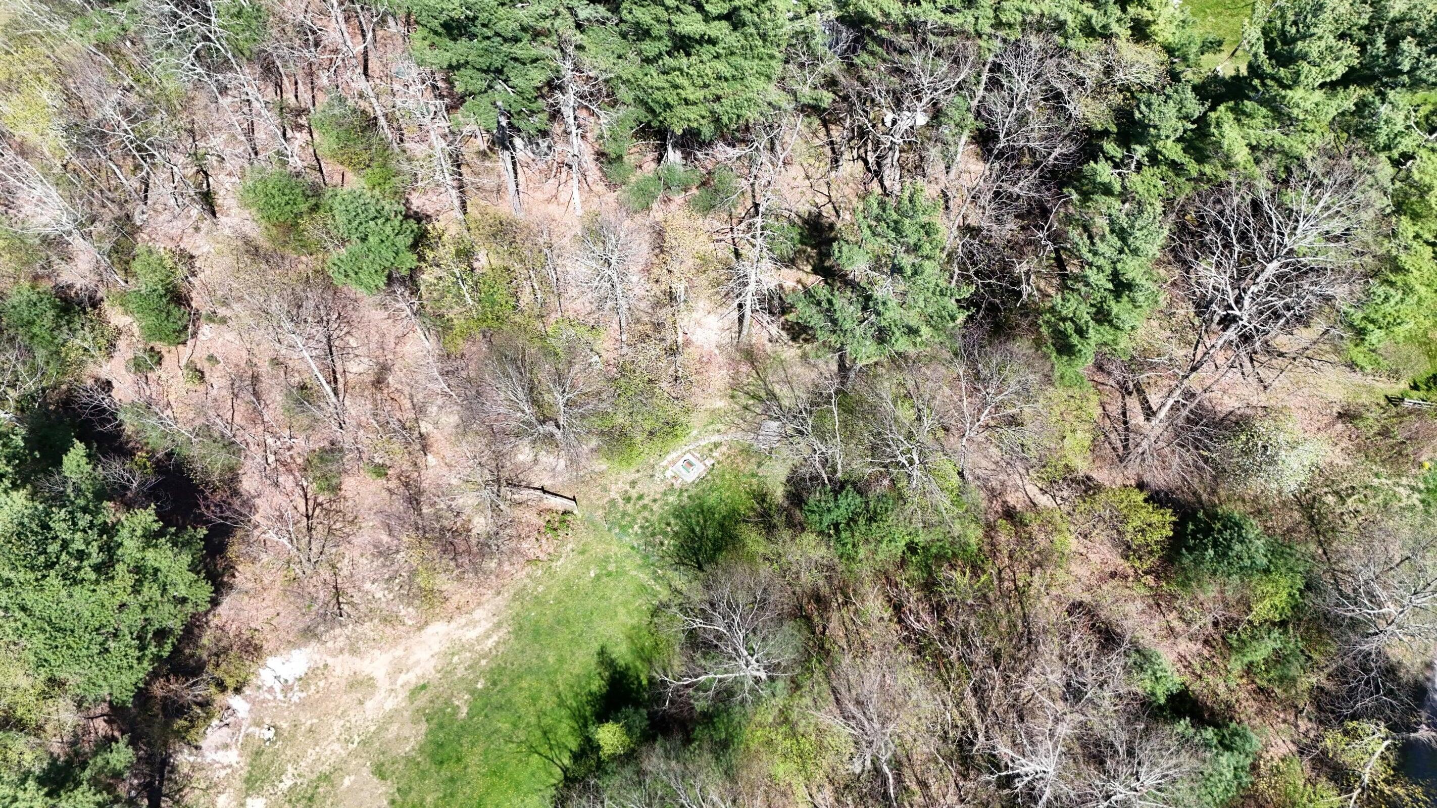0 Ivy Ridge Road Bent Mountain, VA 24059 - Photo 7 of 11 a view of a forest