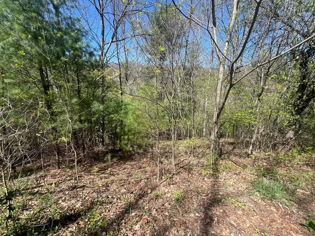 $25,000 | 0 Ivy Ridge Road, Bent Mountain, VA 24059