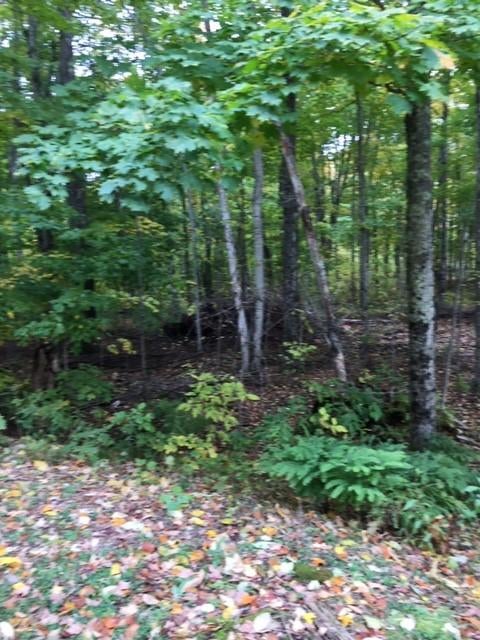 3676n Lang Road Gulliver, MI 49840 - Photo 36 of 42 Gallery Image 36