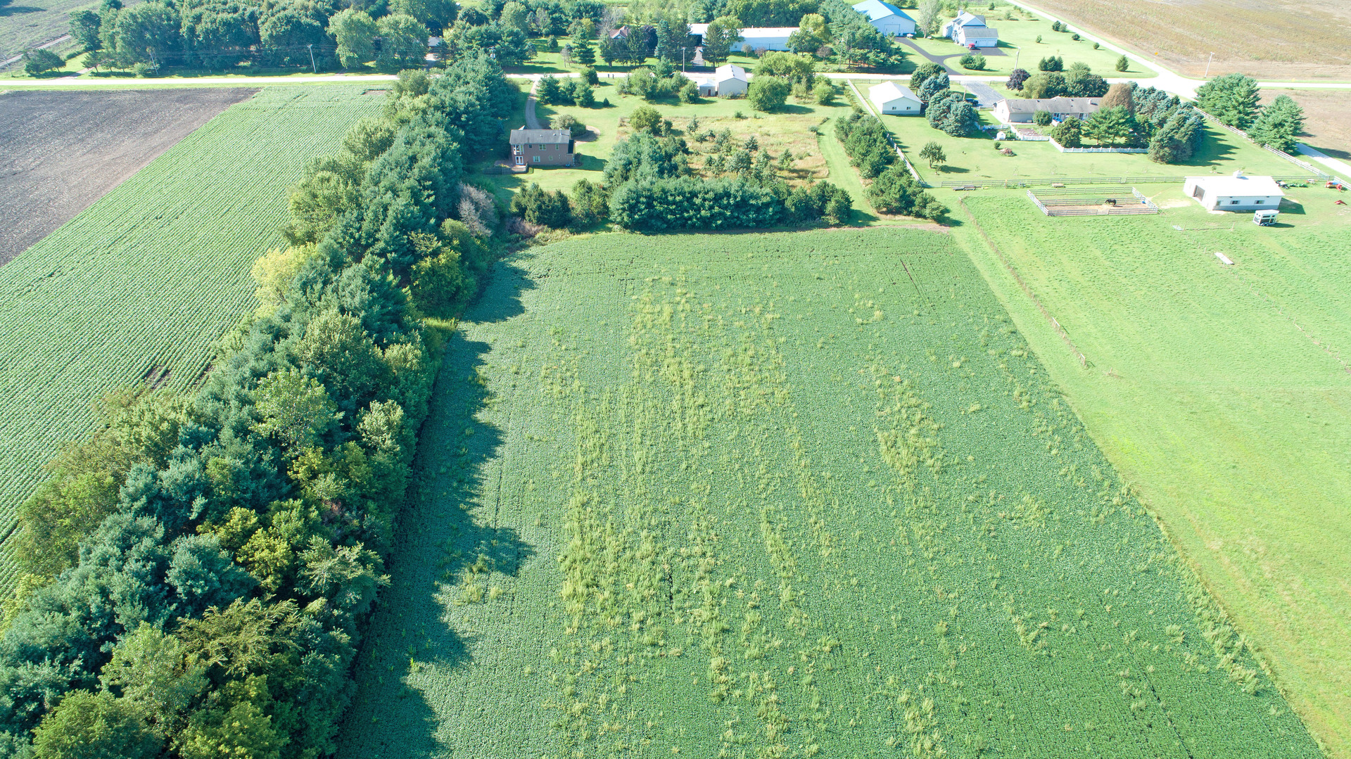 25004 Jackson Road Marengo, IL 60152 - Photo 8 of 35