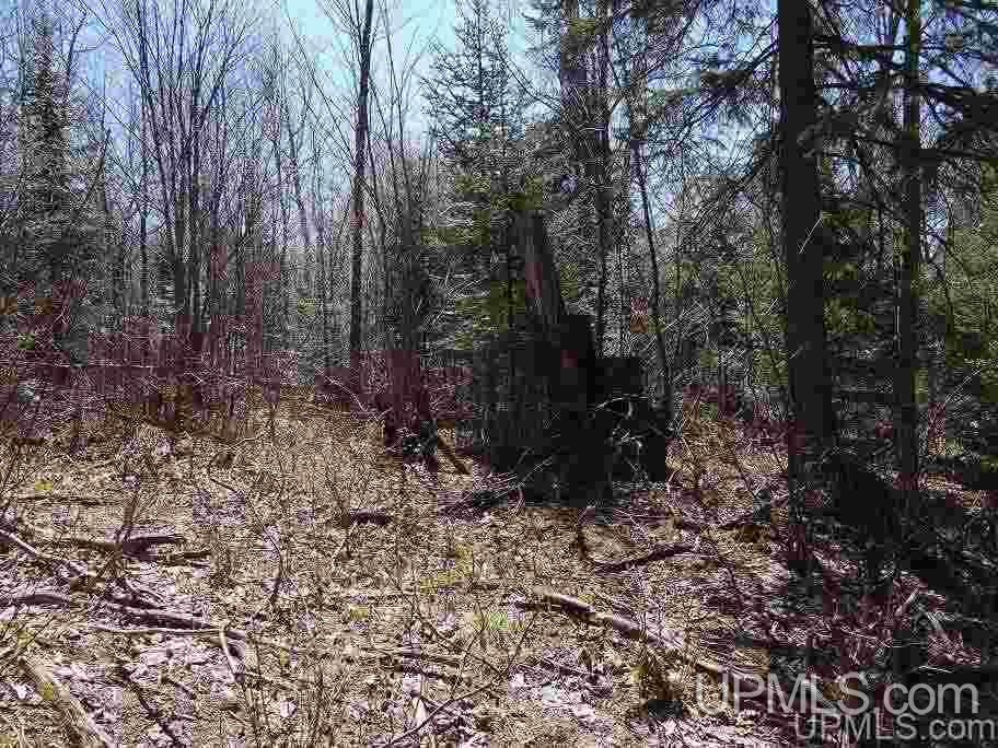 Tbd Celotex Road Michigamme, MI 49946 - Photo 20 of 25