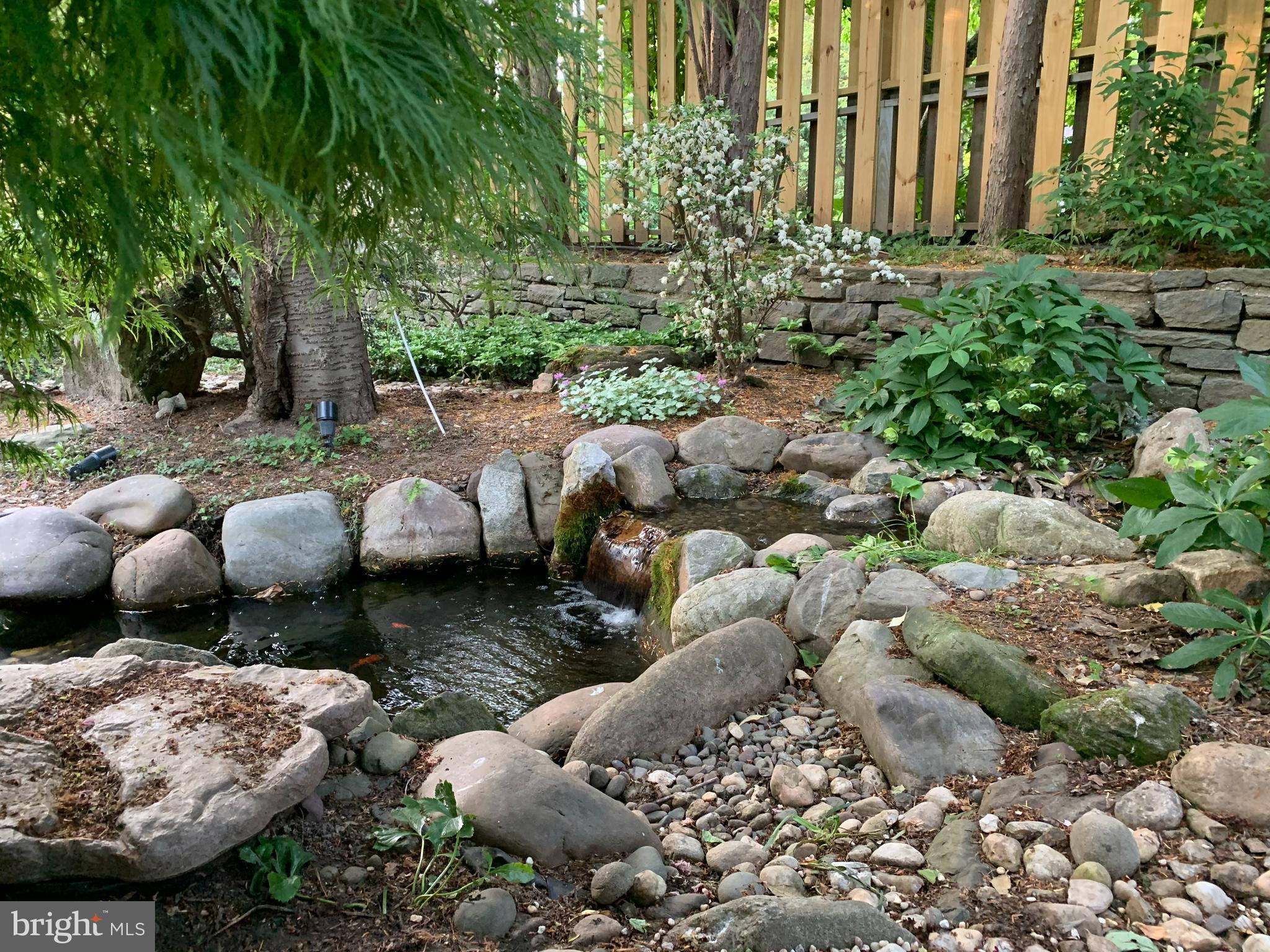 7713 Cherokee Street Philadelphia, PA 19118 - Photo 30 of 35 Beautifully landscaped yard in spring