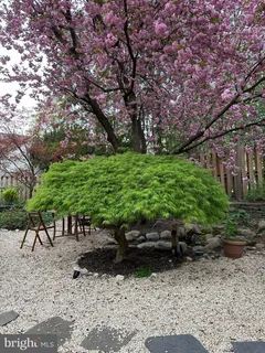 $1,199,000 | 7713 Cherokee Street, Philadelphia, PA 19118