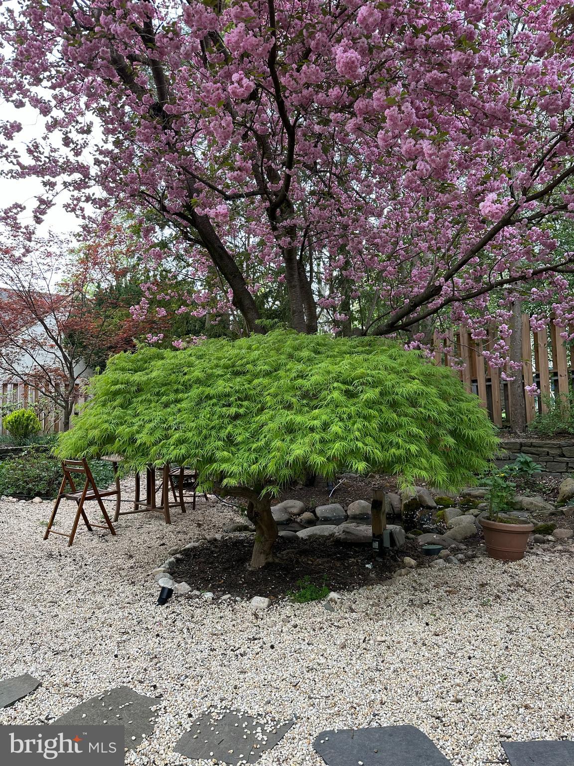 7713 Cherokee Street Philadelphia, PA 19118 - Photo 32 of 35 Beautifully landscaped yard in spring