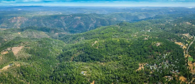 a view of a field with a tree