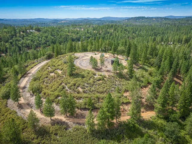 a view of a city with lush green forest
