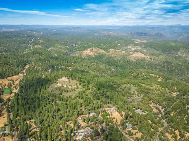 a view of a city with lush green forest