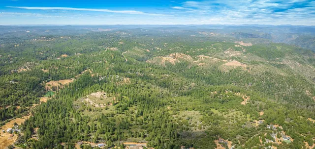 a view of a city with lush green forest