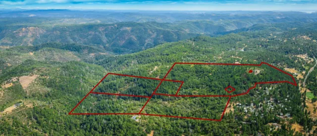 a view of a garden with a flower garden