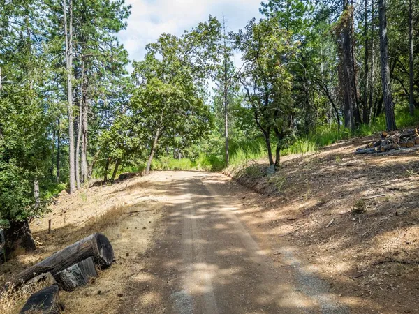 an aerial view of residential houses with outdoor space and trees