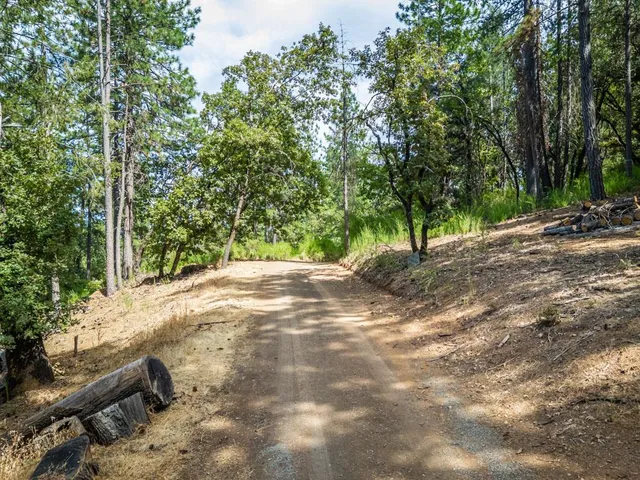 an aerial view of residential houses with outdoor space and trees