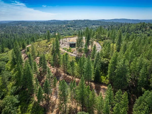 a view of a city with lush green forest