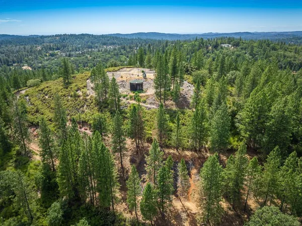 a view of a lush green forest with a houses