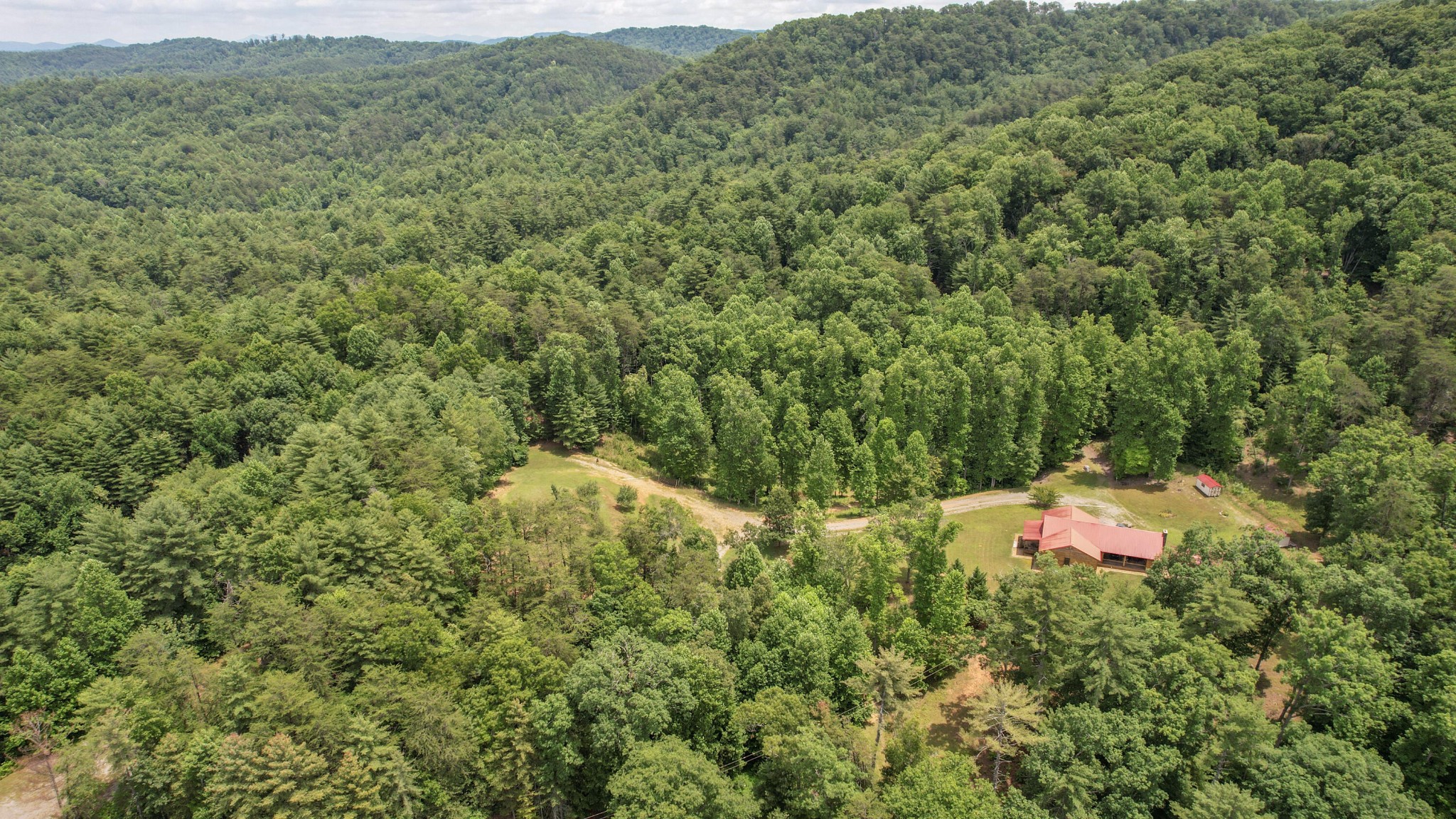 201 Campbell Branch Road Reliance, TN 37369 - Photo 79 of 99