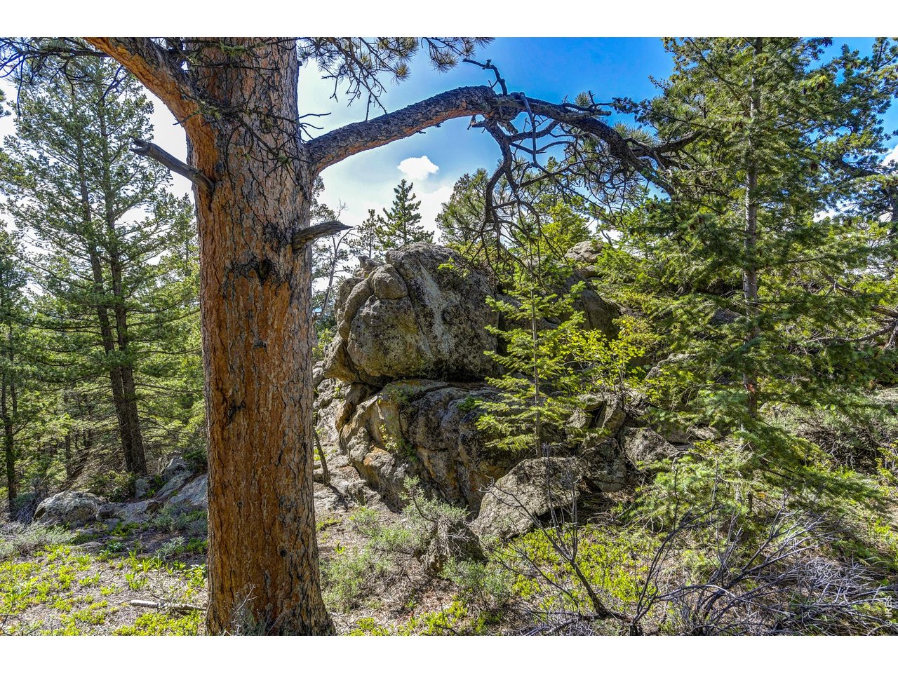3153 Ridge Road Nederland, CO 80466 - Photo 11 of 15 Rock outcroppings