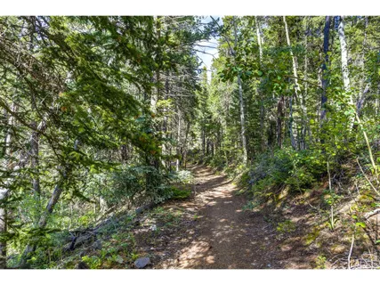 $225,000 | 3153 Ridge Road, Nederland, CO 80466