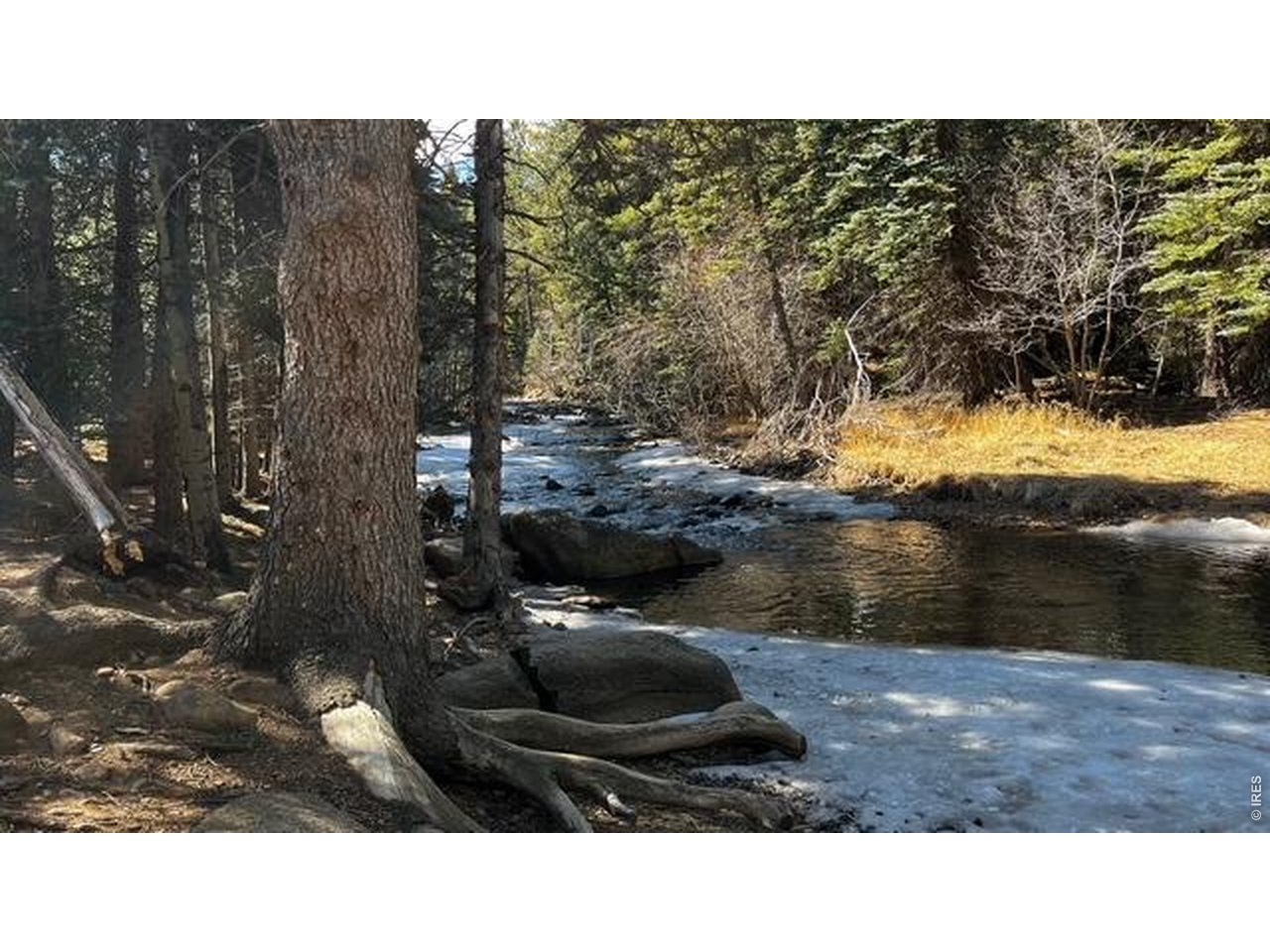 3153 Ridge Road Nederland, CO 80466 - Photo 14 of 15 a black and white photo of a house
