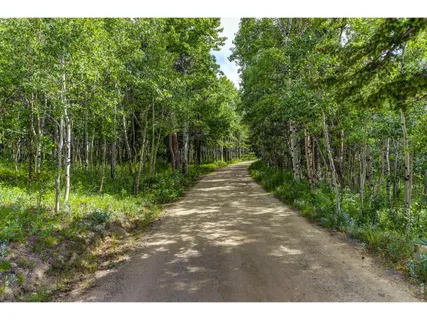 $225,000 | 3153 Ridge Road, Nederland, CO 80466