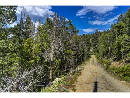 $225,000 | 3153 Ridge Road, Nederland, CO 80466
