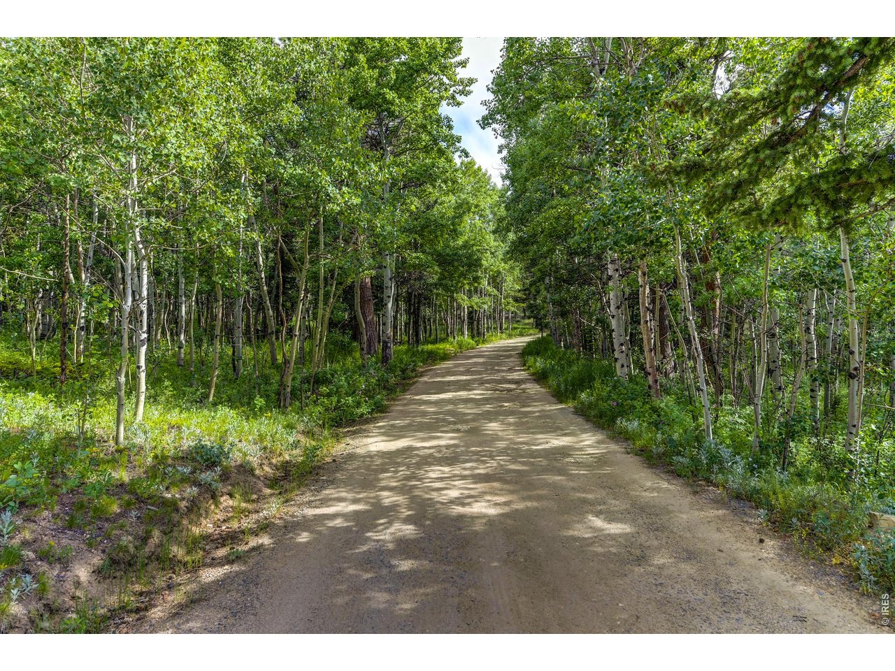 3153 Ridge Road Nederland, CO 80466 - Photo 6 of 15 Idyllic road to the property
