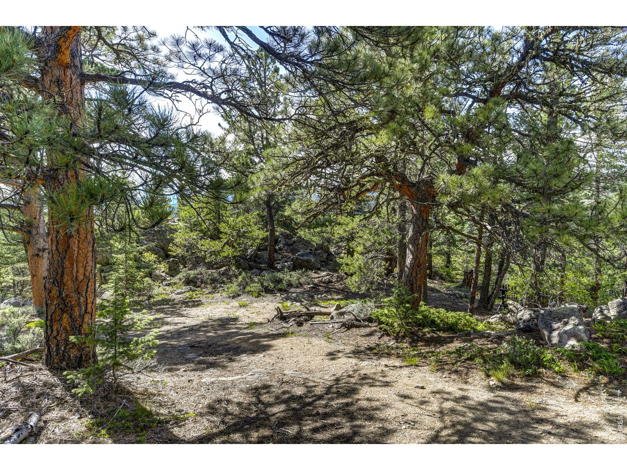 3153 Ridge Road Nederland, CO 80466 - Photo 8 of 15 Flat building lot
