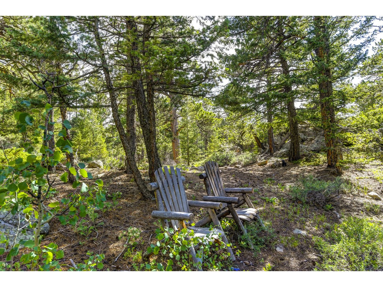 3153 Ridge Road Nederland, CO 80466 - Photo 8 of 15 a view of outdoor space and yard