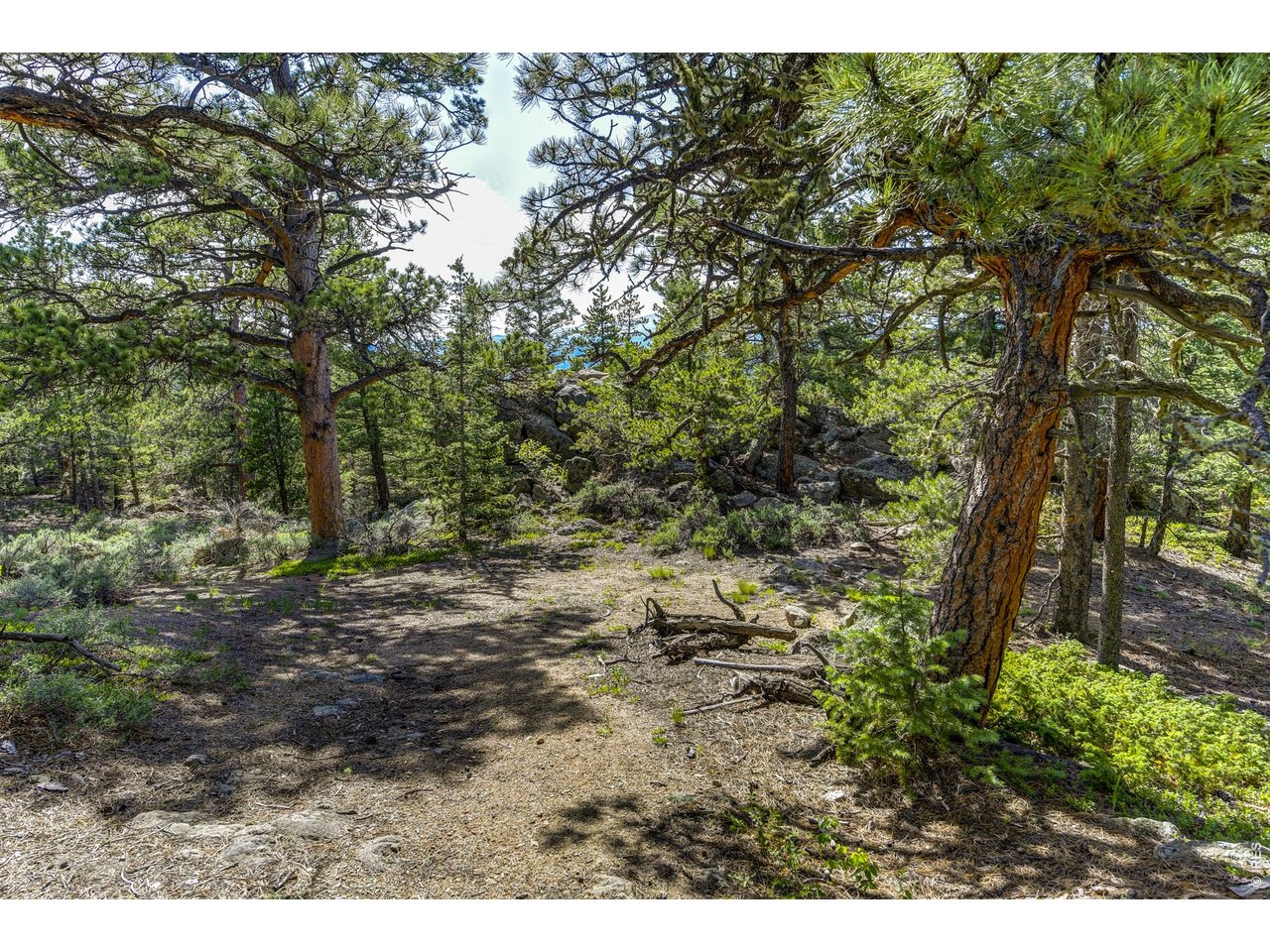 3153 Ridge Road Nederland, CO 80466 - Photo 10 of 15