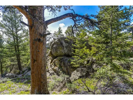 $225,000 | 3153 Ridge Road, Nederland, CO 80466