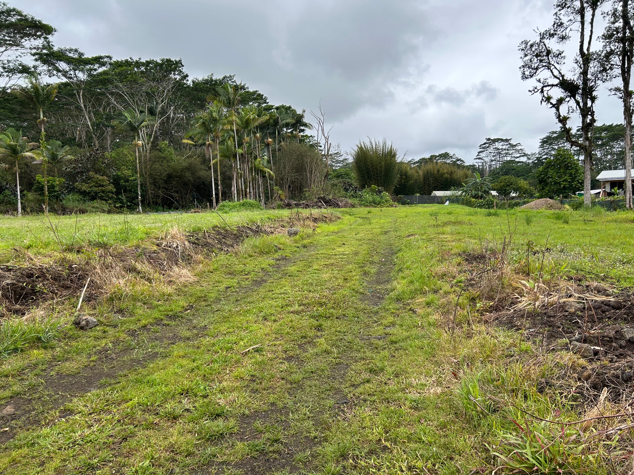 a view of a field with grass and trees