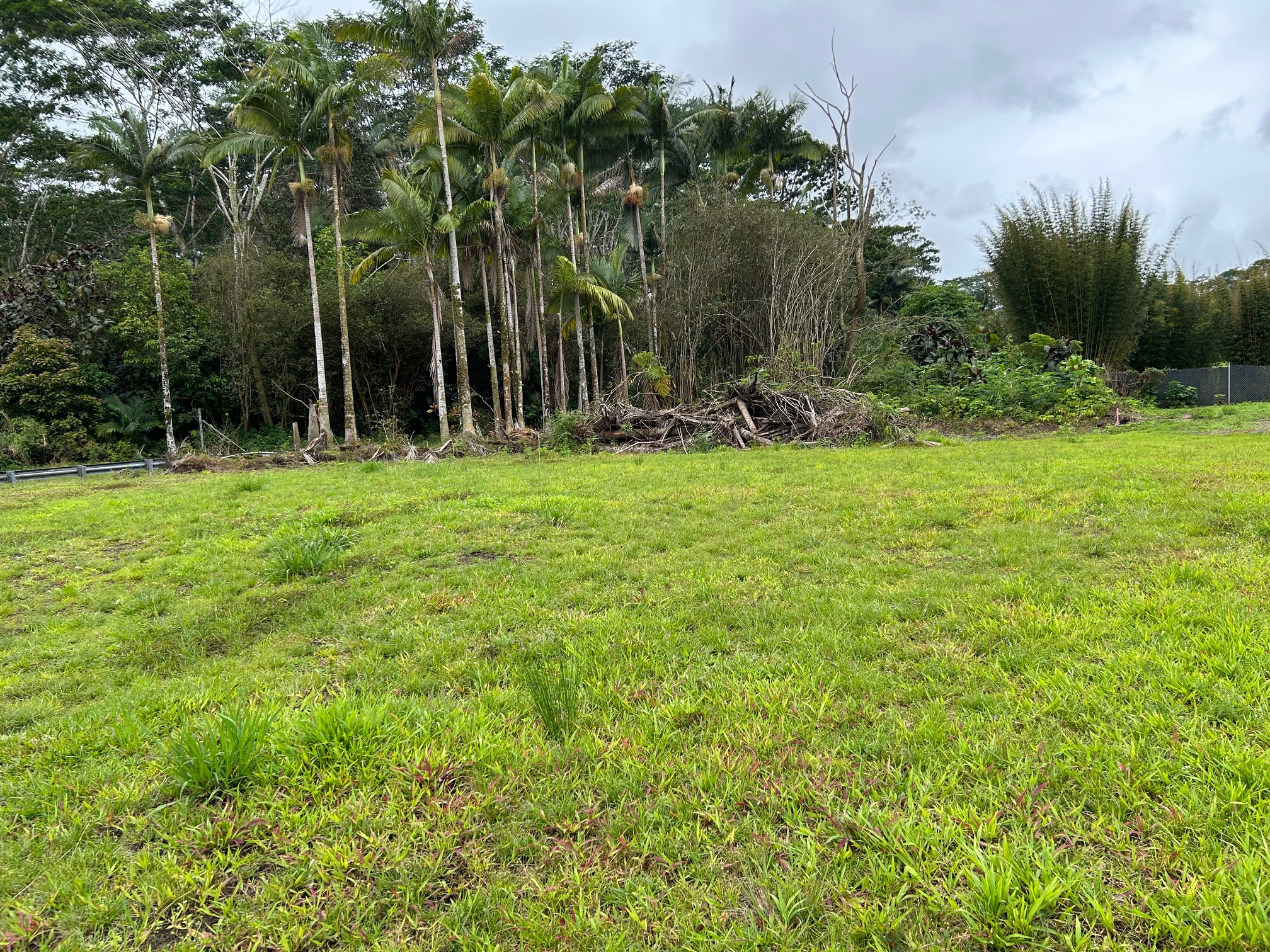 17-4117 Kukui Camp Road Mountain View, HI 96771 - Photo 2 of 8 a view of backyard with green space