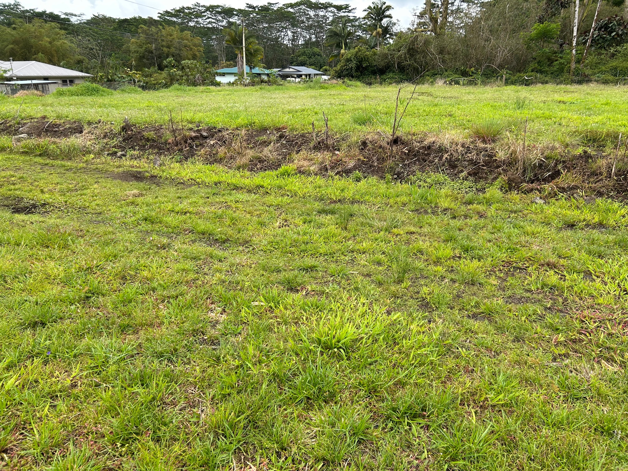 17-4117 Kukui Camp Road Mountain View, HI 96771 - Photo 3 of 8 a view of a garden with an outdoor space