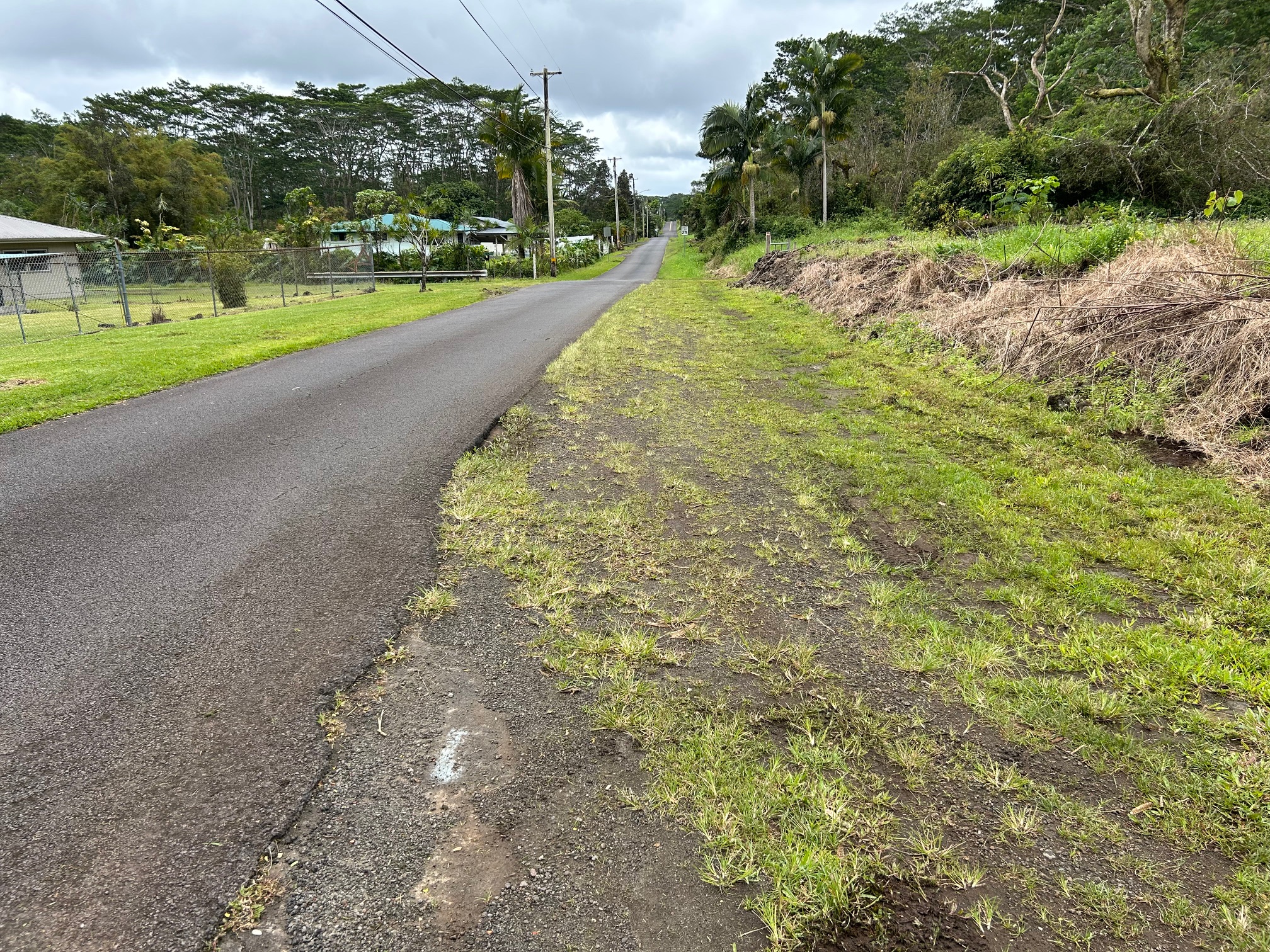 17-4117 Kukui Camp Road Mountain View, HI 96771 - Photo 6 of 8 a view of a yard with plants and large trees